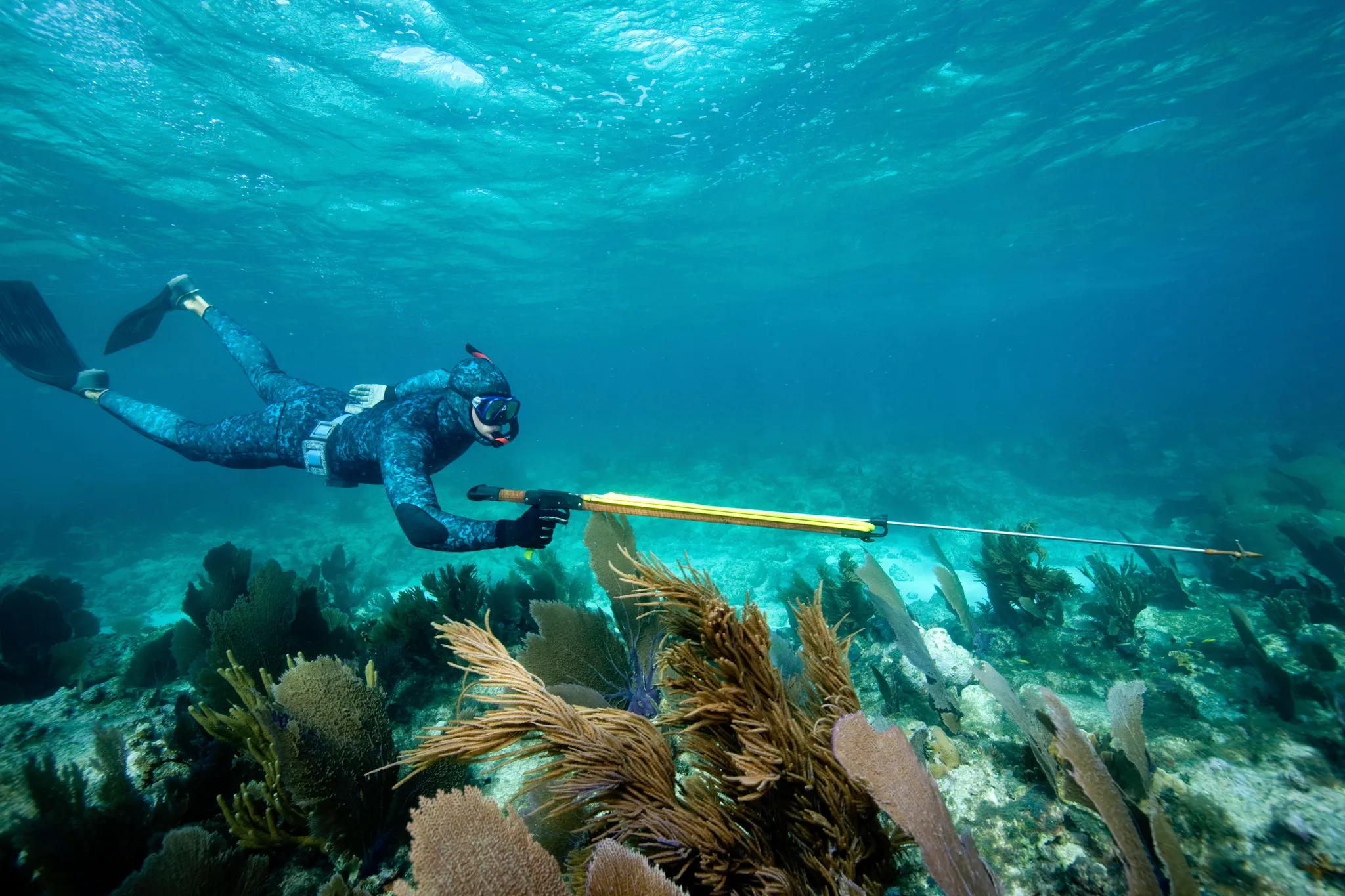 A freediver with a speargun over a reef in clear water
